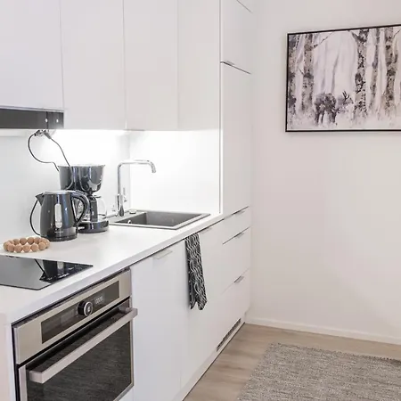 Snowflake V Apartment
